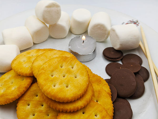Campfire Smores